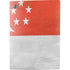 Singapore Flag Distressed PS5 Digital Edition Console Skin